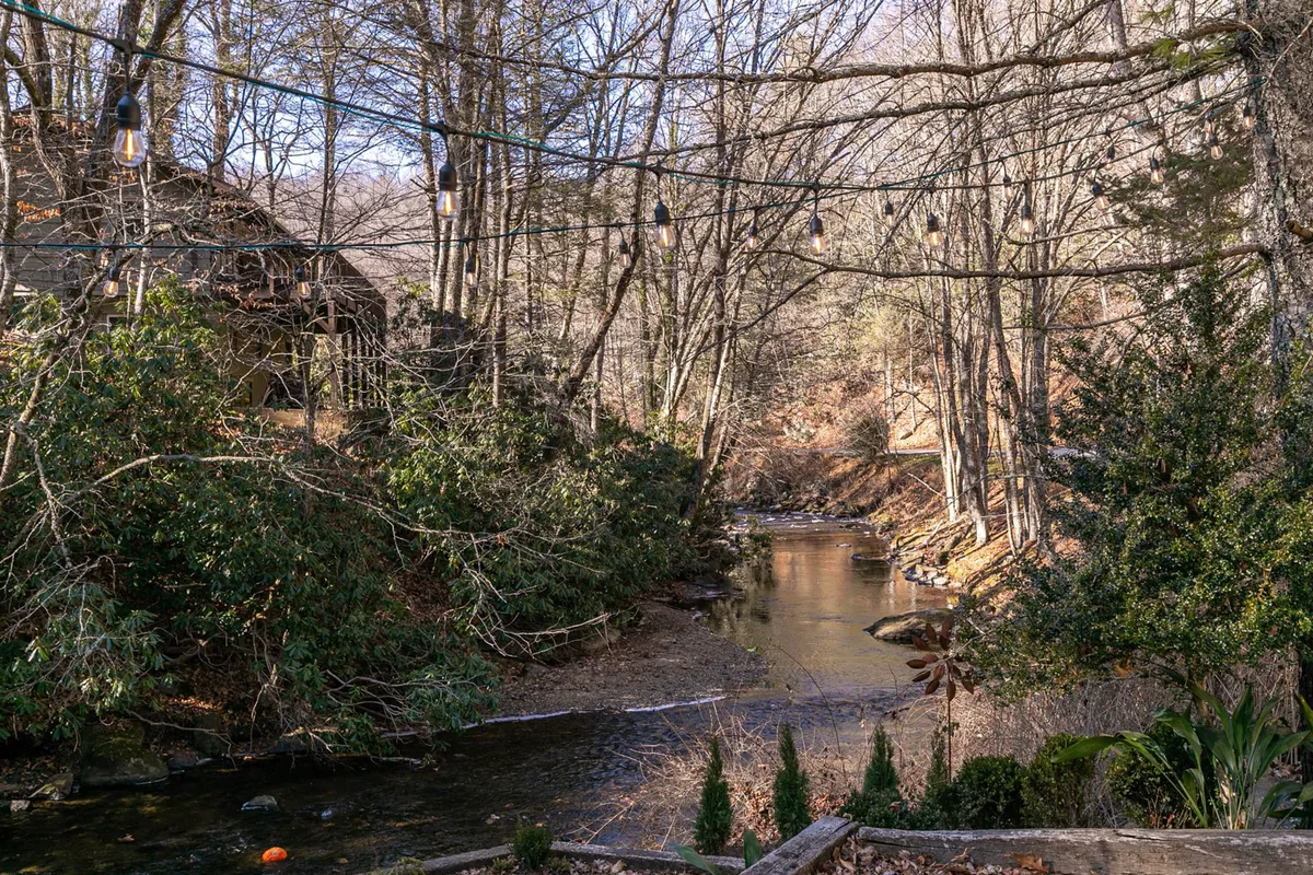 A tranquil creek winds through a wooded area, framed by hanging string lights and surrounded by tall trees. The peaceful setting invites guests to relax by the water, have a picnic, or watch for birds. The gentle illumination of the lights suggests cozy evenings spent outdoors, possibly near a fire pit.