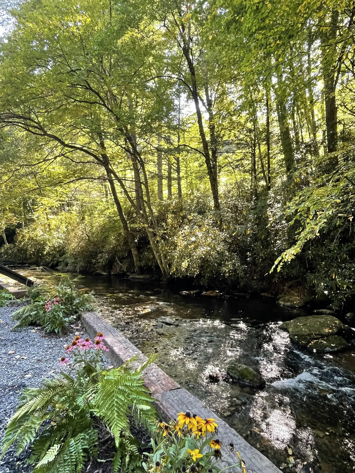 This image captures a serene stretch of the Middle Fork of the New River bordered by lush greenery and vibrant flower beds, with a wooden border framing the scene. The soft flow of the river and the abundance of foliage create a tranquil natural environment ideal for wildlife watching, fishing, and riverfront relaxation.
