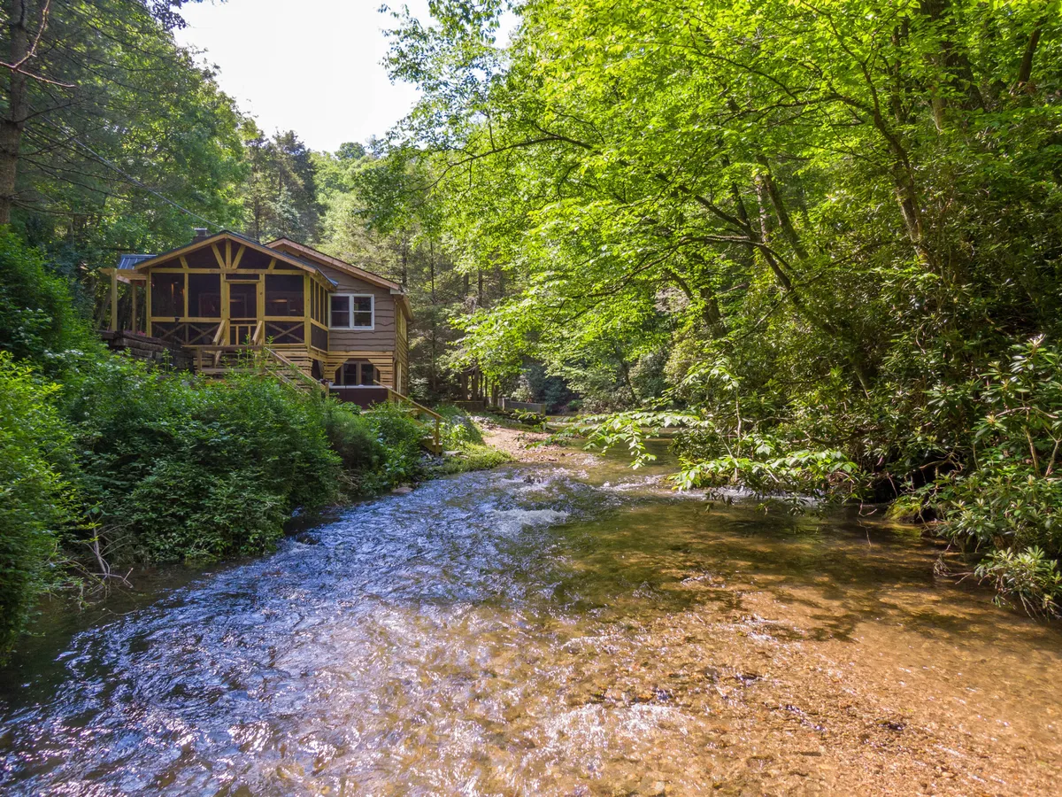 This image showcases a charming wooden house nestled beside a flowing stream, surrounded by lush greenery. The inviting setting highlights both the proximity to water and the natural, pet-friendly landscape ideal for outdoor activities and exploration.